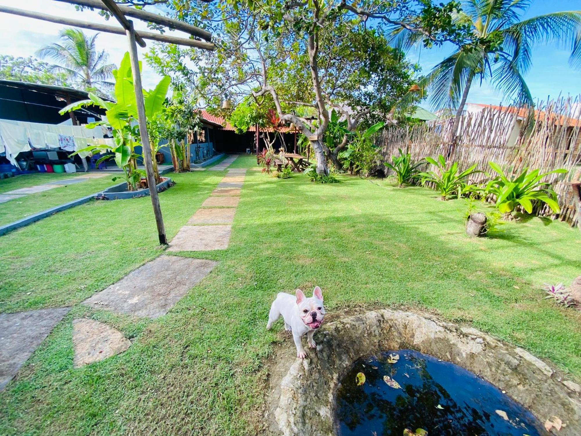 Bed and Breakfast Ricatins Exterior foto