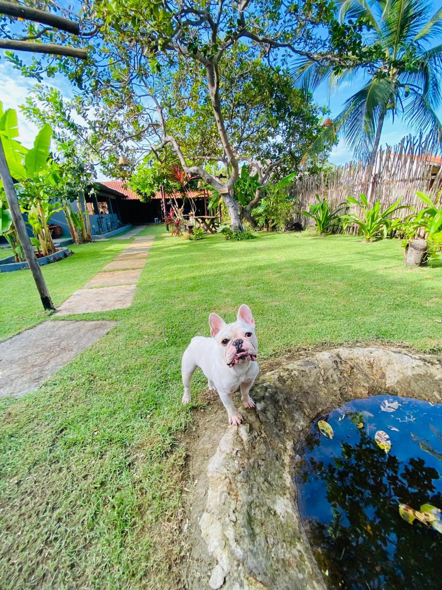 Bed and Breakfast Ricatins Exterior foto